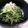 ♡こもれび♡'s cooksnap of when they made 豆苗ときゅうりのごま油和え.