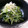 ♡こもれび♡'s cooksnap of when they made 豆苗ときゅうりのごま油和え.