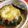 saalalan's cooksnap of when they made ぼっちゃんかぼちゃのまるごとキッシュ.
