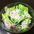 ゴロみかん's cooksnap of when they made しらすとレタスの塩ポン酢サラダ.