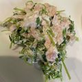 うなちゃん！'s cooksnap of when they made 超簡単！レンジ調理で豆苗のツナ和え♪.