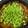 tiger★'s cooksnap of when they made ぷりぷり！きくらげ炊き込みご飯.