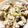 ぽんぽんぐ's cooksnap of when they made ひじきご飯.