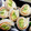 ☆クッキングパンダ☆'s cooksnap of when they made 緑と黄色のちくわまき.