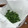 まこさんど's cooksnap of when they made 青ねぎの保存　我が家の場合.