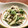 mooooo★'s cooksnap of when they made 簡単スグ♪ 水菜とえのきの塩昆布サラダ.