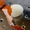 chnn's cooksnap of when they made ゆで卵がつるんとむける方法.
