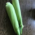 えるみちゃん's cooksnap of when they made 簡単5分！トウモロコシは皮ごとレンチン！.