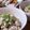 ruris7's cooksnap of when they made ♡大豆とシーチキンのわさびマヨサラダ♡.
