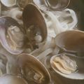 クックTHM5YF☆'s cooksnap of when they made あさり潮ラーメン♪（あさり塩ラーメン）.