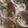 クックTHM5YF☆'s cooksnap of when they made あさり潮ラーメン♪（あさり塩ラーメン）.