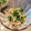 yuki★haru's cooksnap of when they made オクラとしらすの和え物.