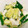 momorin★'s cooksnap of when they made デリ風、イカときゅうりのねぎ塩和え.