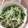 かよわた's cooksnap of when they made もやしと豆苗のナムル.