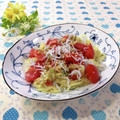 toraちゃん♪'s cooksnap of when they made ネギたっぷり！トマトとしらすの冷たい素麺.