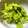 夢遊草's cooksnap of when they made ヒユナ（バイアム）の胡麻和え.