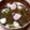 ﾋﾟﾛﾐ♡'s cooksnap of when they made とろろ昆布スープ★.