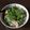 よぴ５７'s cooksnap of when they made 2種類の鶏のフォー～パクチー好き？苦手？.