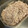 ☆みえぽんぽこりん☆'s cooksnap of when they made 【作り置き】レンジで簡単！しっとり蒸し鶏.