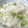 hiro_aya's cooksnap of when they made 枝豆としらすの炊き込みご飯.