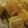 あゆたっくん's cooksnap of when they made かぼちゃと厚揚げの煮物　おかか入り.