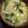 ぴっぴかちゅう～'s cooksnap of when they made 簡単！お豆腐と小松菜のスープ.
