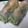 ハチ０２１６ロウ's cooksnap of when they made お野菜たっぷり生春巻き！簡単ソースも！.