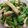 kpqpf6's cooksnap of when they made つるむらさきと油揚げのおひたし.