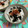 ankotetu's cooksnap of when they made 簡単♬長芋の細切り.