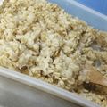 うーちゃんあーちゃん's cooksnap of when they made ★簡単ダイエット♪オートミールご飯最終形.