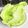 o☆shino's cooksnap of when they made 青菜野菜の復活～(*^^*).