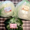クックみゅーみゅー's cooksnap of when they made 野菜保存方法。長生き活き！.