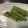 240915's cooksnap of when they made アスパラガスのみそマリネ.