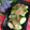 2880naaao's cooksnap of when they made ねこぶだしで浅漬け.