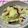 yumeko2's cooksnap of when they made きっちり計って☆塩昆布キャベツ.