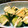 クリーピングタイム☆'s cooksnap of when they made 簡単おつまみ①♪えび塩マヨきゅうり♪.