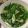 Nana983's cooksnap of when they made わが家の定番☆にら豚味噌汁.