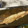マールマル's cooksnap of when they made 本格的！ カレイ煮付け.