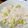 e2yu's cooksnap of when they made 枝豆ごはん.