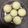 kiki☆cafe's cooksnap of when they made 甘納豆蒸しパン.