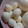 食いしん坊山ガール's cooksnap of when they made うずらの卵　茹で方.