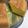 ayami953's cooksnap of when they made 糖質オフ＊簡単＊おからシフォンケーキ.
