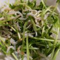 フランシエル's cooksnap of when they made 豆苗としらすの胡麻ごまサラダ。.