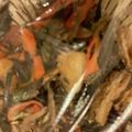 クックBPEU6G☆'s cooksnap of when they made さっぱり美味しい♬ひじきの梅煮.