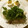 月桃124's cooksnap of when they made しょうが焼きのサラダご飯。.