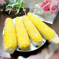 ☆なあなクック☆'s cooksnap of when they made 実がシワにならない！とうもろこしの茹で方.