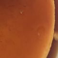 みみちゃん・×・❤︎'s cooksnap of when they made どでかプリン.