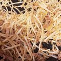 とりかな53910's cooksnap of when they made もやしとひき肉のピリ辛炒め.