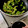 大阪のちゃーちゃん's cooksnap of when they made 万願寺唐辛子の甘辛炒め.