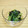 バカリャウ's cooksnap of when they made 簡単！小松菜とのりのわさび和え.